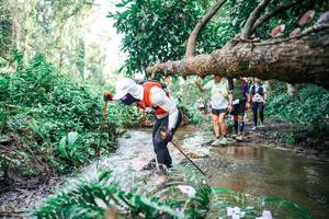 BIB: 
                            <button type="button" onclick="openModal(25515516)" class="btn btn-primary btn-sm float-right btn-popup" data-toggle="modal" data-target=".modal-high-quality">
                        <i class="fas fa-shopping-cart"></i> Add to Cart
                    </button>
                                            <button type="button" onclick="isThisMe(25515516, true)" class="btn btn-success btn-sm float-right btn-popup btn-isme hidden" data-toggle="tooltip" data-placement="bottom" title="นี่คือรูปของคุณใช่ไหม คลิกที่นี่เพื่อเอาเข้าอัลบั้ม">
                        <i class="fas fa-plus"></i> Add to album
                    </button>
                    <button type="button" onclick="isThisMe(25515516, false)" class="btn btn-warning btn-sm float-right btn-popup btn-isnotme hidden">
                        <i class="fas fa-ban"></i> Remove from album
                    </button>